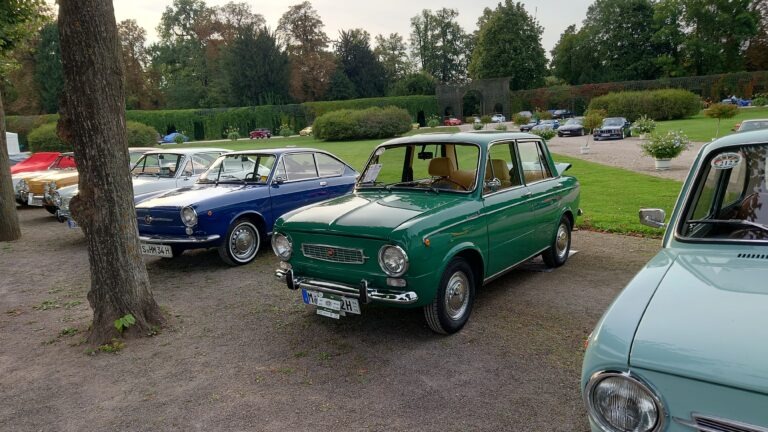 Fiat 850 Special Lucciola